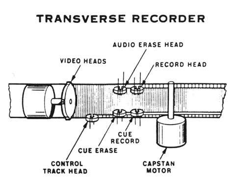 Quadruplex transverse geometry